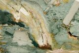 Gary Green Jasper (Larsonite) Bog Wood Slab - Oregon #377737-1